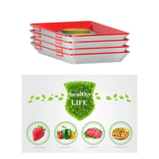 Plateau de conservation des aliments créatif