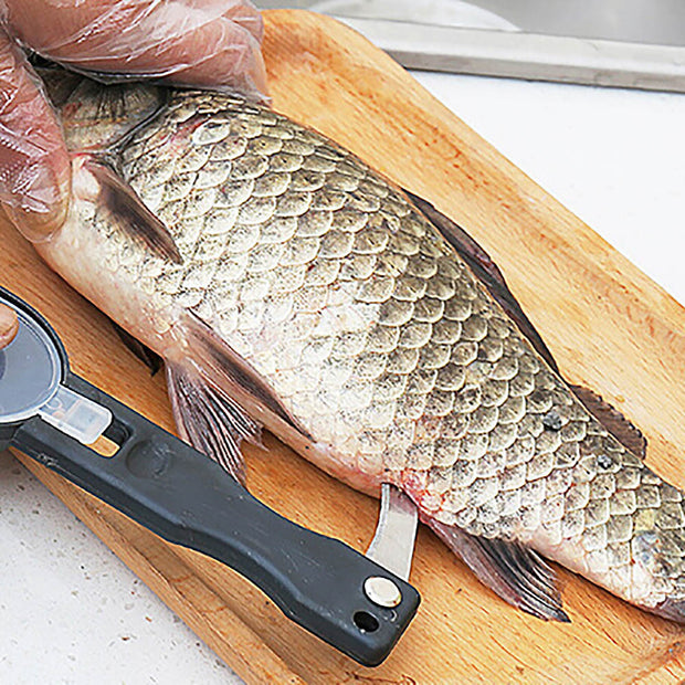 1 grattoir pratique pour enlever les écailles de poisson, détartrant en plastique, éplucheur de fruits et légumes, accessoires utiles