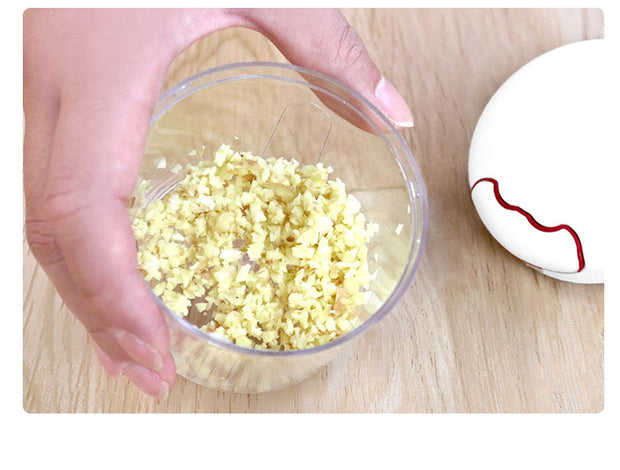 Mini presse-ail manuel en acier inoxydable, ustensile de cuisine pour la maison