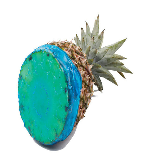 Ensemble de couvercles de conservation pour fruits et aliments