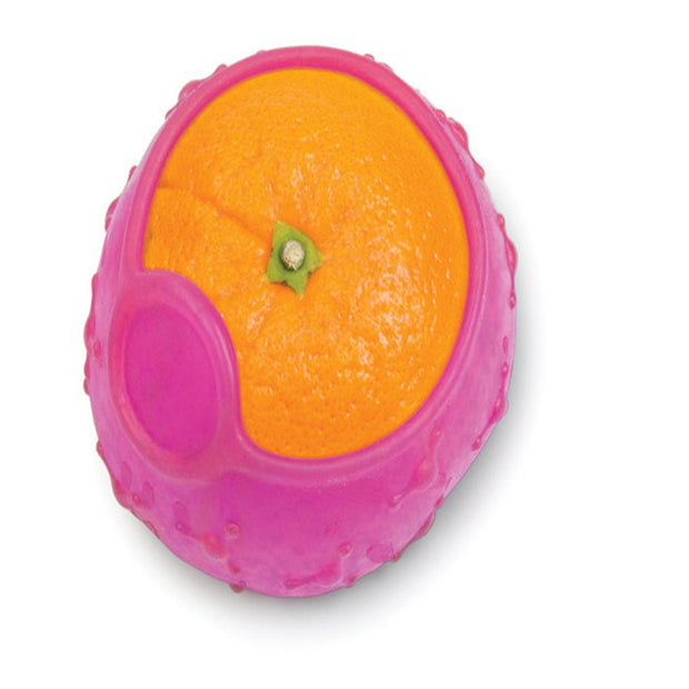 Ensemble de couvercles de conservation pour fruits et aliments