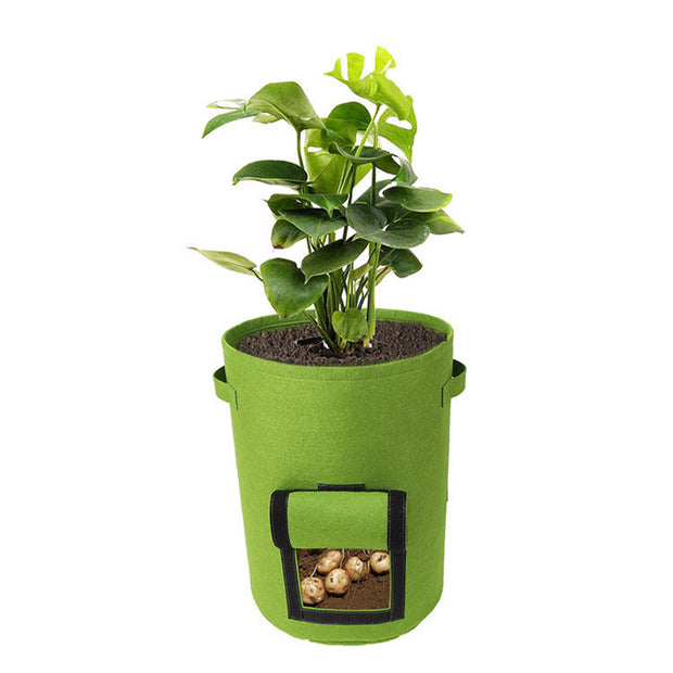 Baril multifonctionnel pour semis de légumes