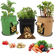 Baril multifonctionnel pour semis de légumes