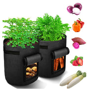 Baril multifonctionnel pour semis de légumes
