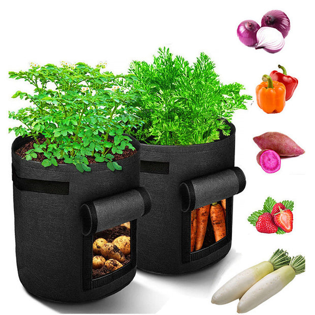 Baril multifonctionnel pour semis de légumes