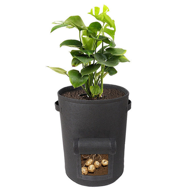 Baril multifonctionnel pour semis de légumes